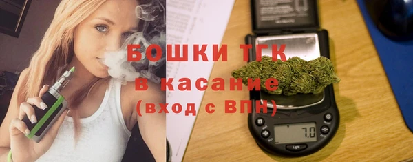 сатива Коряжма