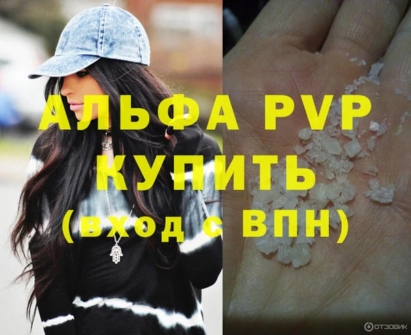 гидра Корсаков