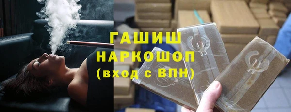 гидра Корсаков