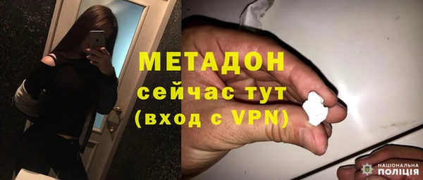 сатива Коряжма