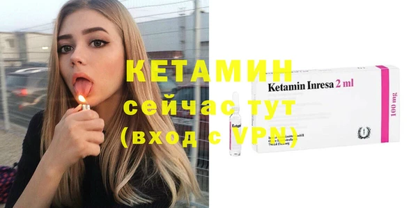сатива Коряжма
