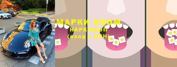 сатива Коряжма