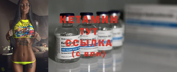 гидра Корсаков