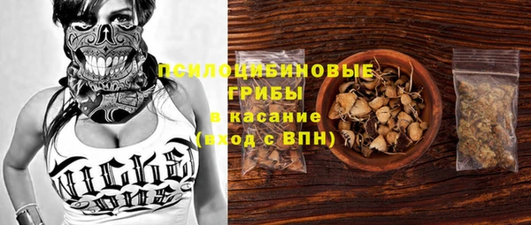 сатива Коряжма