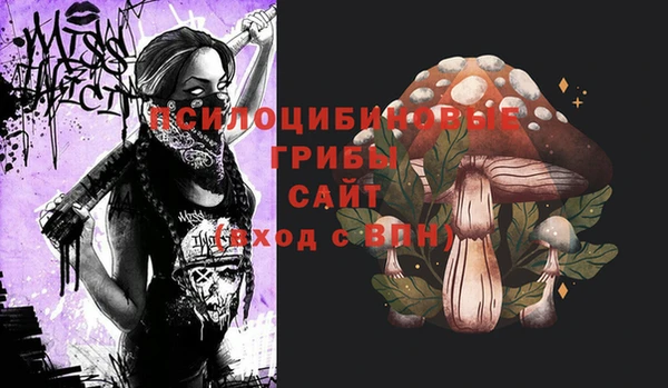 гидра Корсаков