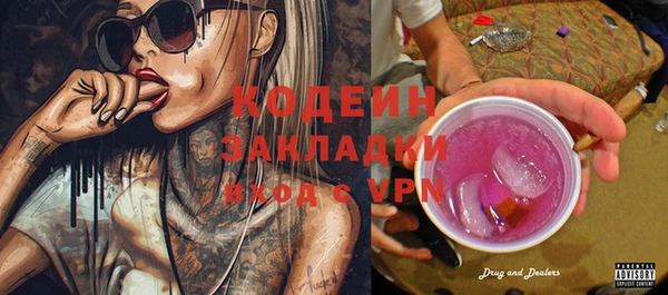 сатива Коряжма