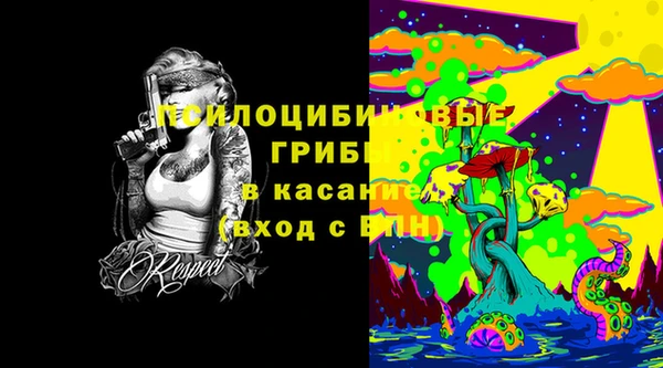 соль курить ск Козловка