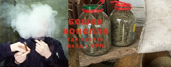гидра Корсаков