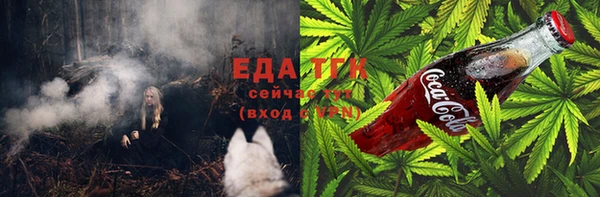 сатива Коряжма