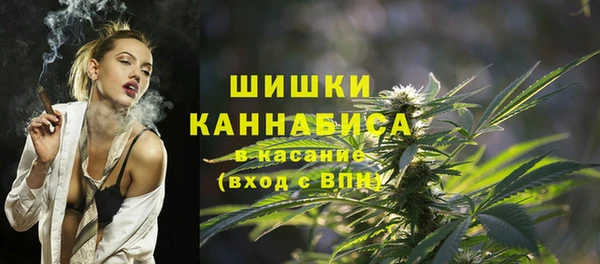 сатива Коряжма