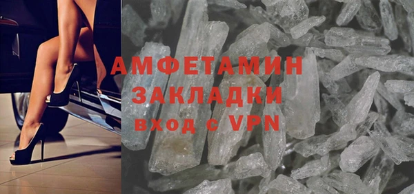 сатива Коряжма