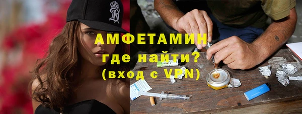 сатива Коряжма