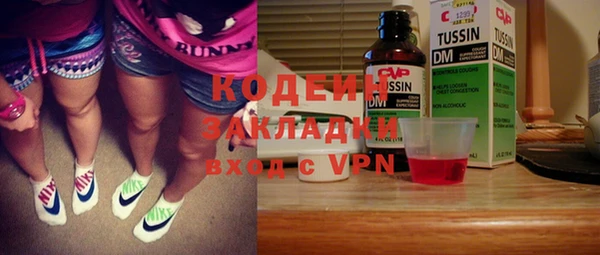 гидра Корсаков